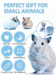 2pcs Hamster Rabbit Chew Toys, Rodent Teeth Grinding Sticks, Pet Small Hamster/Gerbil Teeth Grinding Toys, Multicolor L15cm/5.9in - A - View 3