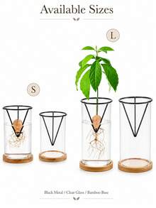 2/1pc Avocado Seed Growing Rack, Triangular Metal Plant Sprouting Stand, Glass Jar Seed Starter Rack, Reusable Avocado Pit Growth Support, Indoor Hydroponic Plant Propagation Accessory, Home Desktop Decor Seed Hanging Stand - Multicolor - View 7