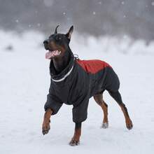 Dog Winter Warm Jacket, Windproof Dog Coat, Reflective High Collar Dog Winter Jacket Snowproof, Full Wool Coat, Suitable For Small, Medium, Large Pets - Multicolor - View 8