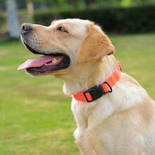 1PC PVC Pet Collar, Adjustable Size, Macaron Color Series, Quick Release Buckle, Easy To Clean Rubber Material, Comfortable And Versatile, Anti-Tear, Suitable For Small, Medium, Large Dogs, Daily Wear And Outdoor Adventure - Multicolor - View 5