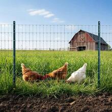 Minifactory Green Metal Fence Posts 4FT & 5FT, 10 Pack Rust-Resistant Steel U Posts For Wire Fencing, Chicken Coops, Yard Borders, No Dig Design - 4ft - View 7