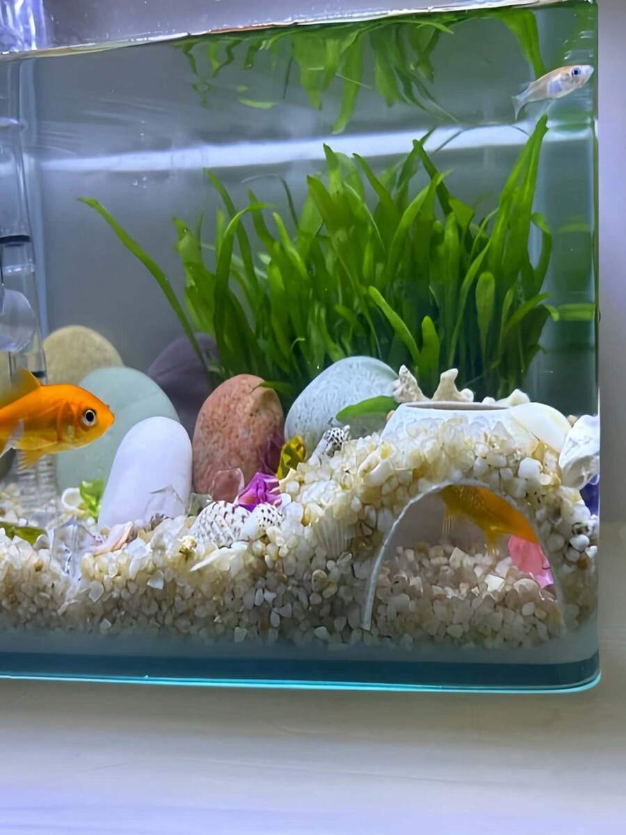 1件裝水族箱拱形洞穴裝飾,魚類躲藏屋飾品,小型熱帶魚休息與繁殖魚缸裝飾,適用於孔雀魚、燈魚、鬥魚小型混養魚缸 - 歡樂水族 - 查看 1