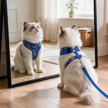Dog Harness And Leash Set, Floral Pattern Double-Layer Breathable Mesh Vest Harness, Adjustable Soft Wear-Resistant Pet Walking Harness And Leash Set, Suitable For Small And Medium Dogs - Blue - View 5