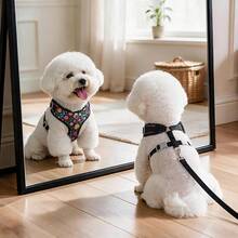 Dog Harness And Leash Set, Floral Pattern Double-Layer Breathable Mesh Vest Harness, Adjustable Soft Durable Pet Walking Leash Set, Suitable For Small And Medium Dogs - Black - View 4