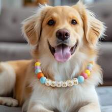 Personalized Beaded Dog Collar: Available In 6 Colors And Styles, The Perfect Personalized Gift For Your Dog, With A Durable Leather Buckle, A Customized Christmas Gift For Your Pet. - Multicolor - View 3