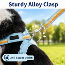 2pcs Rainbow Dog V-Shaped Harness Set, Adjustable Y-Shaped Harness With Leash, Comfortable Neck Protection, Suitable For Medium And Small Dogs For Daily Walking And Training, Prevents Pet Escape, Small Dog Harness, Medium Dog Harness, Harness + Leash - Multicolor - View 6