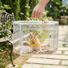 1/2/4pcs-Hamster Vest-A Cute, Mini Vest Designed Specifically For Small Animals Like Hamsters And Guinea Pigs. Features Metal Buckles; Serves As A Photo Prop; Adjustable. Small Pet Supplies And Apparel. - Multicolor - View 6