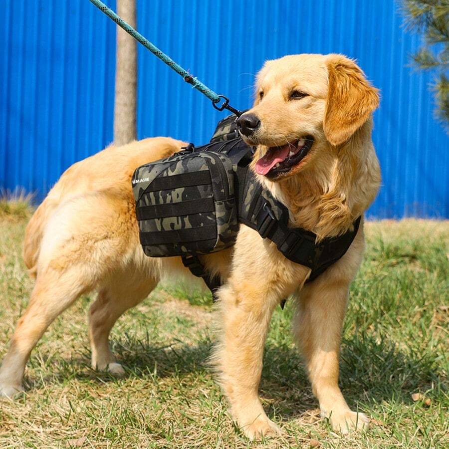 Ransel Anjing Besar Golden Retriever: Termasuk Tali Penuntun Portabel dan Ransel Hewan Peliharaan Khusus. Saat Bepergian, Bawa Tali Penuntun Anjing Portabel dan Tas Camilan Anjing. Labrador/Doroway/Anjing Gembala Besar Dapat Menggunakan Tas Ransel Khusus yang Dapat Dilepas. - MultiWarna - View 1