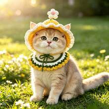 Handmade Woven Pet Hat & Bib Set, Adjustable Tie, Sun Hat + Drool Bib, Cat Photo Prop, Daily Styling Accessory For Small And Medium Dogs And Cats - Multicolor - View 7