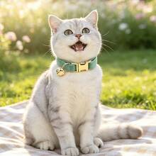 2pcs Cream + Mint Green Soft Velvet Cat Collar With Gold Bell Metal Buckle, Adjustable Size Comfortable Wear, Universal For Cats And Small Dogs Pet Neck Collar Accessory, St. Patrick's Day, Easter - Cream White & Mint Green - View 6
