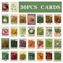 30pcs Autumn Vegetable Seed Cards, Fall Harvest Seeds Cards, Assorted Vegetable Illustrations Cards, Gift For Garden Lovers Women Men - Multicolor - View 3