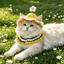Handmade Woven Pet Hat & Bib Set, Adjustable Tie, Sun Hat + Drool Bib, Cat Photo Prop, Daily Styling Accessory For Small And Medium Dogs And Cats - Multicolor - View 2