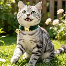 2pcs Burgundy + Dark Green Soft Velvet Cat Collar With Gold Bell Metal Buckle, Adjustable Size Comfortable Wear, Universal For Cats And Small Dogs Pet Neck Collar Accessory, Christmas, Oktoberfest - Burgundy & Dark Green - View 6