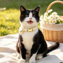 2pcs Cream + Mint Green Soft Velvet Cat Collar With Gold Bell Metal Buckle, Adjustable Size Comfortable Wear, Universal For Cats And Small Dogs Pet Neck Collar Accessory, St. Patrick's Day, Easter - Cream White & Mint Green - View 7