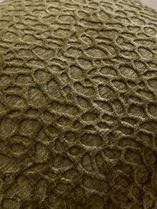 1 buah/2 buah (Tanpa Isian) Sarung Bantal Motif Melon, Sarung Bantal Chenille Tekstur Buah 3D yang Modis dan Nyaman Bergaya Retro, Cocok untuk Dekorasi Rumah Sehari-hari, Sofa, Tempat Tidur, Kamar Tidur, Hadiah, Dekorasi Liburan, Musim Semi, Musim Panas, Musim Gugur, Musim Dingin, Semua Musim - Olive Green - View 4