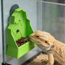 Reptile Feeding Bowl Feeder For Reptile Reptile Corner Feeder With Suction Cups - Feeding Bowl - View 5