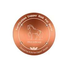 10pcs Bird Bath Copper Discs, 0.6mm Reinforced Pure Copper Cleaning Discs, Physical Water Purification, Suitable For All Seasons, Universal Fit For Outdoor Bird Baths, Bowls, Solar Bird Baths, Aquariums - Style A - View 17