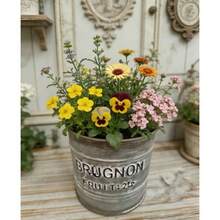 French Vintage Distressed Iron Planter, Retro Metal Flower Bucket, Garden Balcony Decor Planter, Distressed Iron + Vintage Letter Print, Suitable For Garden, Balcony, Homestay And Other Scenes - New Model - View 8