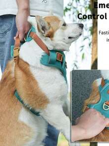 重型战术犬用胸背带套装，适用于大型犬，防拉扯可调节宠物胸带，带反光条，便于训练和控制宠物背心 - 彩色 - 查看 10