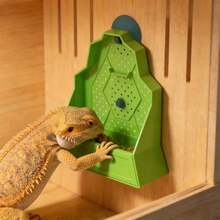 Reptile Feeding Bowl Feeder For Reptile Reptile Corner Feeder With Suction Cups - Feeding Bowl - View 6