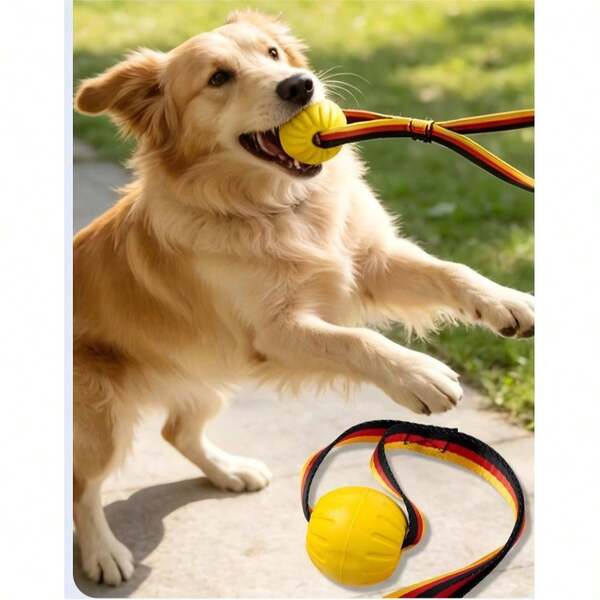 1 pieza Juguete de pelota con nudo de cuerda para perro con asa, duradero y resistente a mordidas, adecuado para entrenamiento de masticación, tirar y lanzar, juegos de tira y afloja, búsqueda de pelota para perros