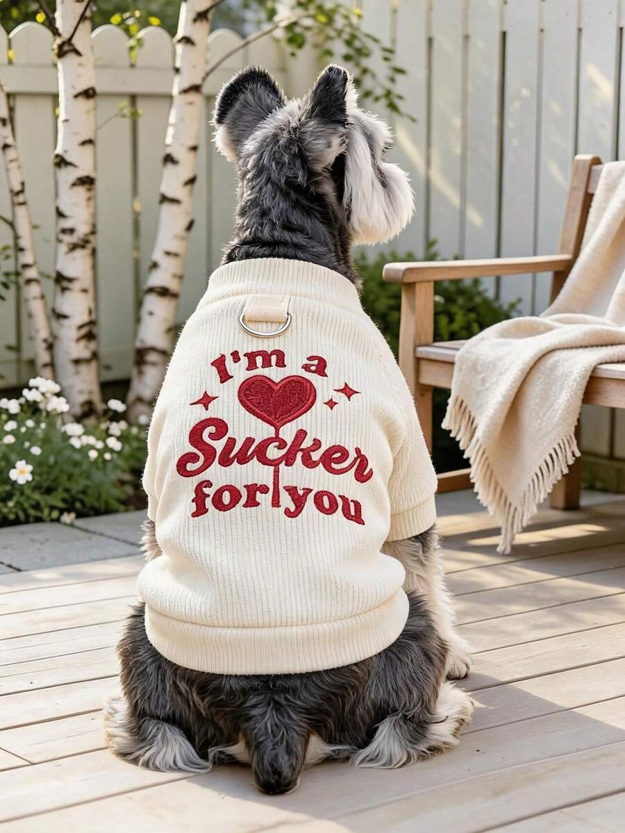 1pc Pet Clothes Dog Cat Apparel Small Dog Puppy Cute Spring Autumn Comfortable Sweatshirt Series Heart-Throb Valentine's Day Sweatshirt - White - View 1