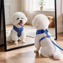 Dog Harness And Leash Set, Floral Pattern Double-Layer Breathable Mesh Vest Harness, Adjustable Soft Wear-Resistant Pet Walking Harness And Leash Set, Suitable For Small And Medium Dogs - Blue - View 4