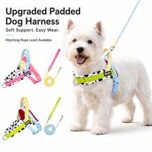 2pcs Dog Harness & Leash Set | Durable Polyester Webbing With Cow Print Thickened Neoprene Padding, Anti-Burst & Anti-Escape; Comfortable Non-Slip Leash Handle, Strong Round Rope, Suitable For Medium Dogs For Indoor & Outdoor Use - Multicolor - View 1