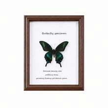 1 khung gỗ 3D rỗng hình bướm A4 6/10 inch, hộp trưng bày hình chữ nhật màu nâu phong cách vintage, trang trí nhà cửa DIY, quà tặng sinh nhật lễ tết, quà Giáng sinh - A - Xem 6