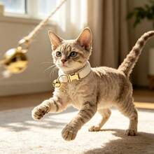 2pcs Cream + Lavender Soft Velvet Cat Collar, With Gold Bell Metal Buckle, Adjustable Size Comfortable Wear, Suitable For Cats And Small Dogs Pet Neck Collar Accessories, Valentine's Day, Easter - Cream White & Lilac - View 6