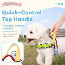 2pcs Dog Harness & Leash Set | Durable Polyester Webbing With Cow Print Thickened Neoprene Padding, Anti-Burst & Anti-Escape; Comfortable Non-Slip Leash Handle, Strong Round Rope, Suitable For Medium Dogs For Indoor & Outdoor Use - Multicolor - View 7
