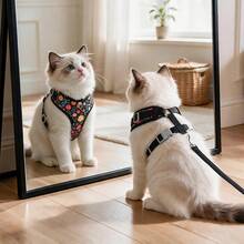Dog Harness And Leash Set, Floral Pattern Double-Layer Breathable Mesh Vest Harness, Adjustable Soft Durable Pet Walking Leash Set, Suitable For Small And Medium Dogs - Black - View 5
