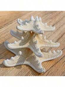 6pcs Natural Seashell, Five-Finger Starfish, Mantis Shrimp Specimen, Mediterranean Style Platform Decor, Ocean Wall Decor Series Home Decoration - Multiple Styles - View 8