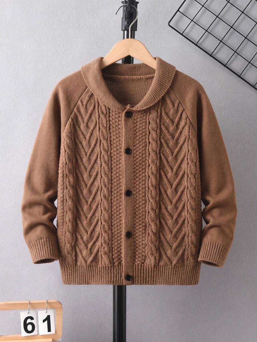 Boys' Vintage Turn-Down Collar Single-Breasted Long Sleeve Cable Knit Cardigan Jacket, Preppy Casual Versatile Style For Daily Wear, Campus, Spring, Autumn, Winter - Brown - View 1
