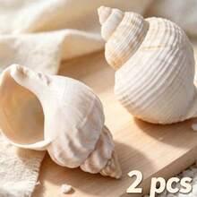 Natural Conch Hermit Crab Replacement Shell, Aquarium Tank Landscape Decor, DIY Craft Ornament - Size - View 6