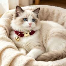 2pcs Burgundy + Dark Green Soft Velvet Cat Collar With Gold Bell Metal Buckle, Adjustable Size Comfortable Wear, Universal For Cats And Small Dogs Pet Neck Collar Accessory, Christmas, Oktoberfest - Burgundy & Dark Green - View 7