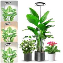 68英寸全光谱落地式植物生长灯，带3/9/12小时定时器，适用于种植大型高大植物，黑色环形LED植物生长灯 - 全光譜太陽光 - 查看 13