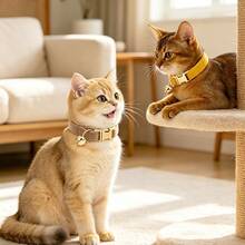 2 buah Kalung Kucing Beludru Lembut Warna Kuning Jahe + Cokelat Muda dengan Gesper Lonceng Logam Emas, Ukuran Dapat Disesuaikan, Nyaman Dipakai, Universal untuk Kucing dan Anjing Kecil, Aksesori Leher Hewan Peliharaan, Thanksgiving Halloween - Kuning jahe & cokelat muda - View 4