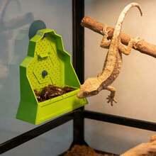 Reptile Feeding Bowl Feeder For Reptile Reptile Corner Feeder With Suction Cups - Feeding Bowl - View 2