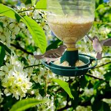 2pcs Outdoor Garden Hanging Bird Feeder, Plastic Feeding Bowl, Automatic Outdoor Bird Feeder, Wild Bird Feeder - A - View 3