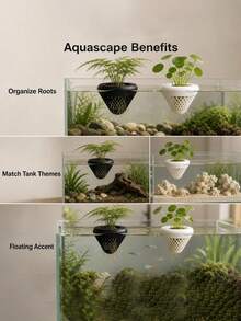 Aquarium Floating Plant Basket,Hanging Pot For Fish Tank Plant,Fish Tank Water Plant Cultivation Holder For Aquatic Growing, Betta Hydroponic Tool - Multicolor - View 4