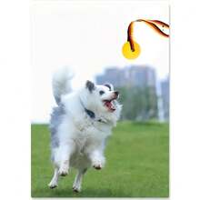 Rope Dog Toy Ball, Puppy Interactive Training Toy, Pet Chewing Play Toy, EVA Elastic Floating Ball - Multicolor - View 3