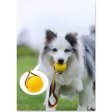 Rope Dog Toy Ball, Puppy Interactive Training Toy, Pet Chewing Play Toy, EVA Elastic Floating Ball - Multicolor - View 4