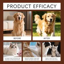 AMZ Pet Hair Care Oil, Cat And Dog Smooth Hair Gentle Detangling Elastic Glossy Hair Protective Essential Oil, Easy Grooming And Softer - 50ml - View 4