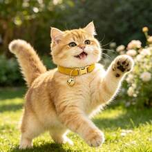 2 buah Kalung Kucing Beludru Lembut Warna Kuning Jahe + Cokelat Muda dengan Gesper Lonceng Logam Emas, Ukuran Dapat Disesuaikan, Nyaman Dipakai, Universal untuk Kucing dan Anjing Kecil, Aksesori Leher Hewan Peliharaan, Thanksgiving Halloween - Kuning jahe & cokelat muda - View 6