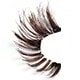 Natural Lashes