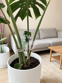 Transparent Adjustable Plant Support Clips, Non-Slip Grip Garden Clips, Suitable For Indoor/Outdoor Use, Greenhouse, Bonsai, Monstera, Ferns, Durable Lightweight Plastic Material, Ideal Choice For Indoor Plant Care, Transparent Design - Multicolor - View 8
