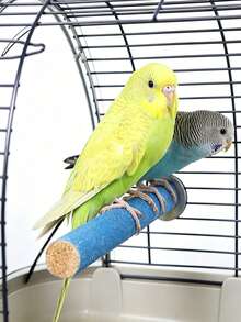 1pc Bird Beak Grinding Chewing Toy, Parrot Calcium Perch, Bird Standing Platform, Cage Accessory, Suitable For Budgies, Cockatiels, Lovebirds, Canaries - Multicolor - View 5