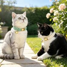 2pcs Cream + Mint Green Soft Velvet Cat Collar With Gold Bell Metal Buckle, Adjustable Size Comfortable Wear, Universal For Cats And Small Dogs Pet Neck Collar Accessory, St. Patrick's Day, Easter - Cream White & Mint Green - View 4