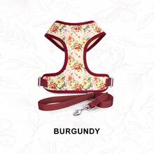 Dog Harness And Leash Set, Floral Pattern Double-Layer Breathable Mesh Vest Harness, Adjustable Soft And Durable Pet Walking Harness And Leash Set, Suitable For Small And Medium Dogs - Red - View 8